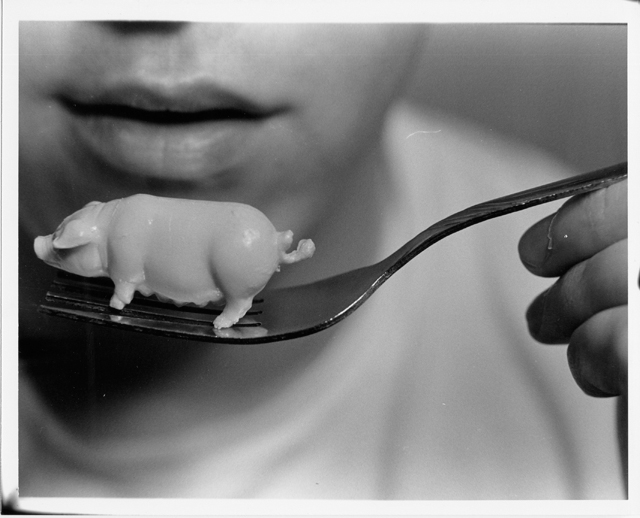 Narrative_Vegan05.jpg