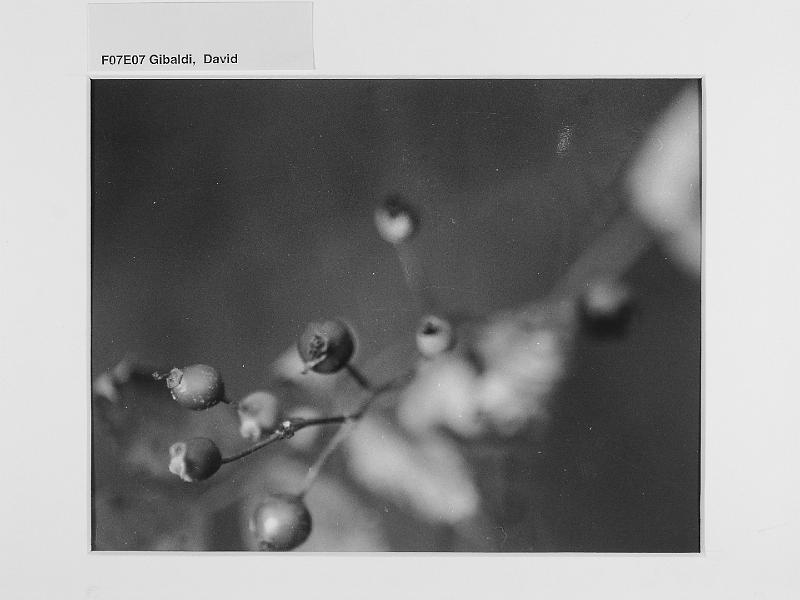 PB070159