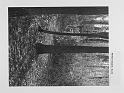PB070161