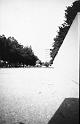 F09_Pinhole_Root