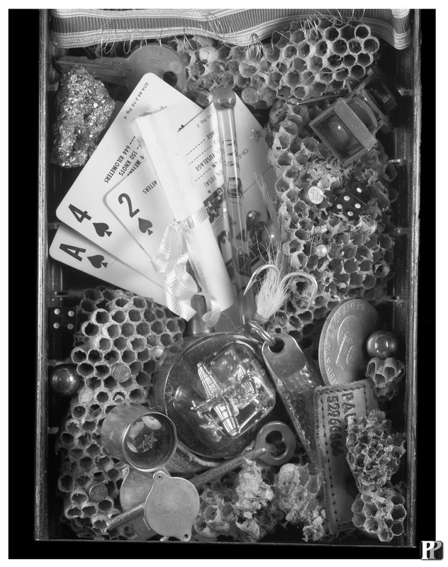 Cross_Pollination_5x7.jpg