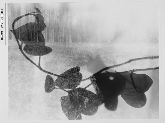 S08_FP_E_33