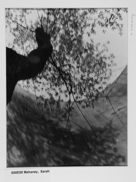 S08_FP_E_37