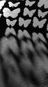 DAL_S10_DirlightBW_IMG_1737
