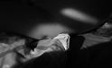 MOO_SP10_Light