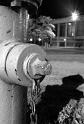 Mack_SP10_light