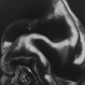 Edward_Weston_Pepper_1930