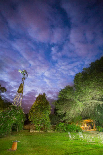 Flash In the Landscape