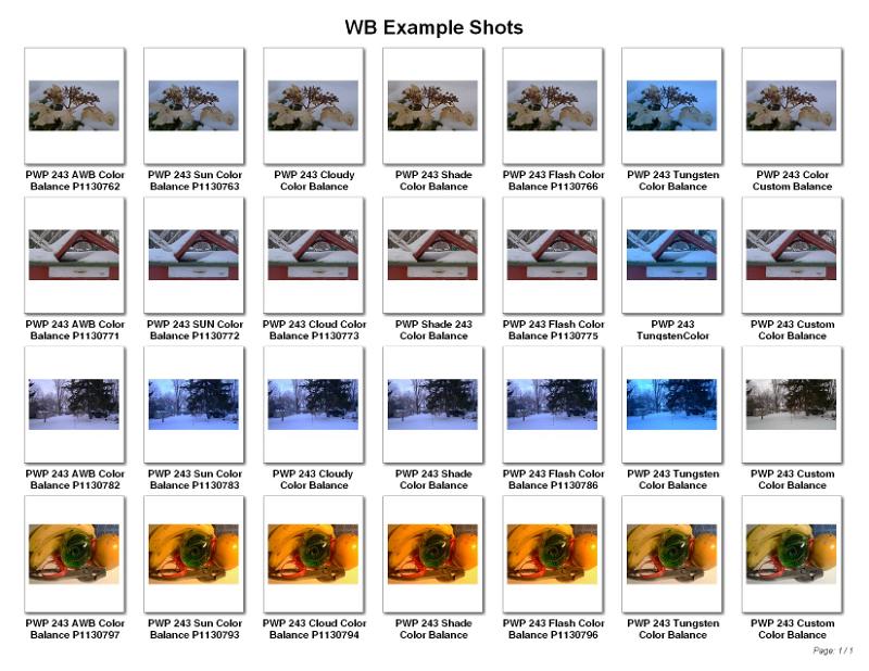 SP10 Morning 243 Digital Photo