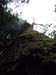 SU09_HOU_100_9237