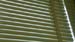 SU09_RIC_DSCN3099
