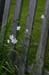 SU09_WOL_IMG_7574