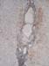 Summer09_Mitam_sidewalk