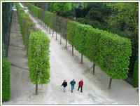 Chateau de versailles. The garden ("Les bosquets") by "pingu pingu" (Canon PowerShot G3)